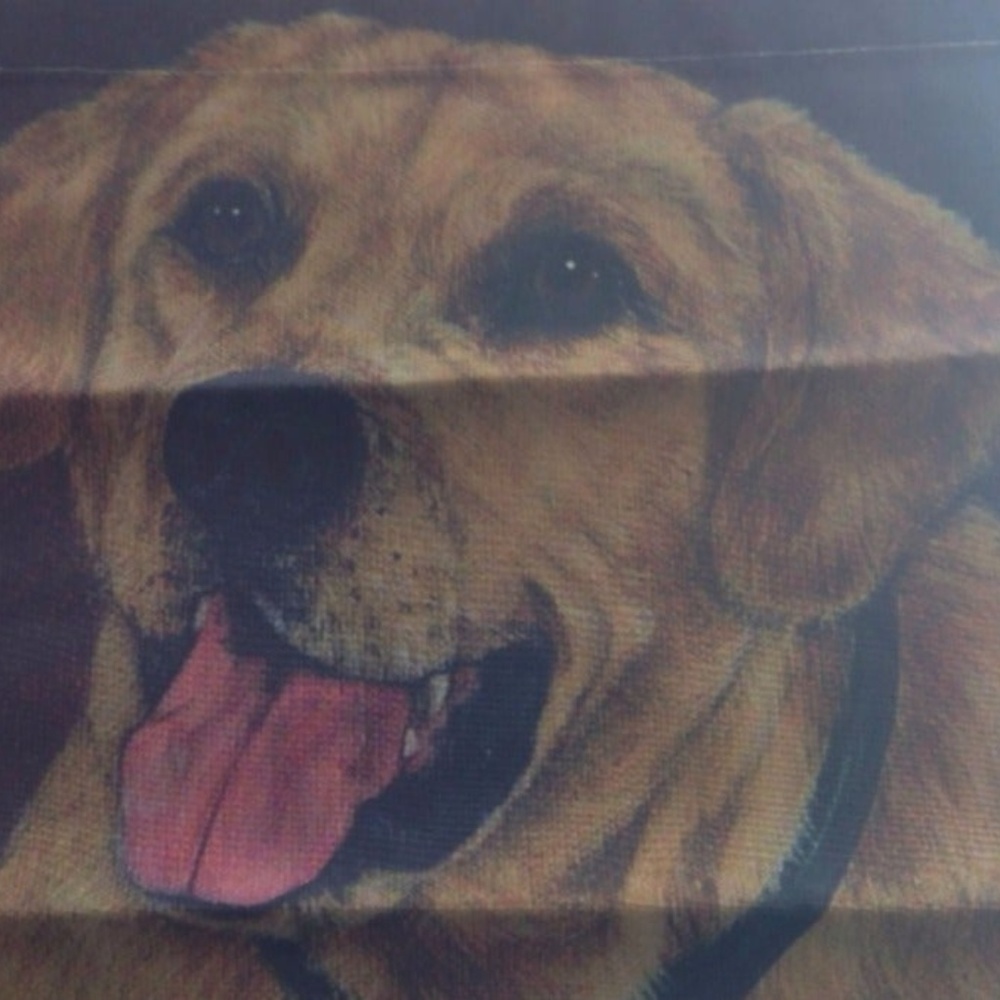 Golden Retriever Garden Flag USA Double Sided New